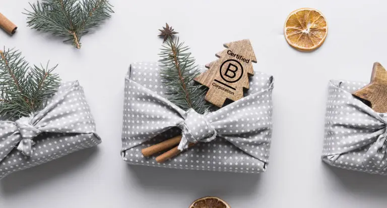 Holiday gifts wrapped with zero waste fabric packaging